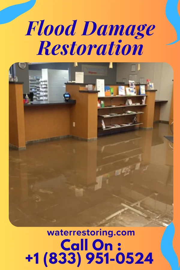 Flood Damage Restoration in Moultrie, GA